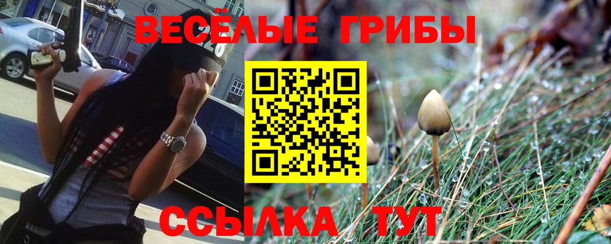 Псилоцибиновые грибы Cubensis  Вход с VPN  Липецк 