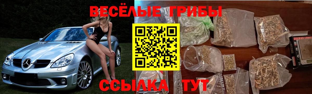 Псилоцибиновые грибы мицелий Липецк